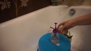 Обработка орхидеи фитовермом от вредителей после покупки