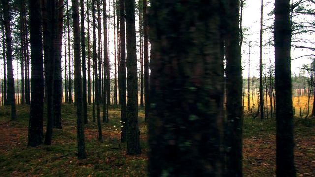 Действительно ли ты свободен? смотреть онлайн