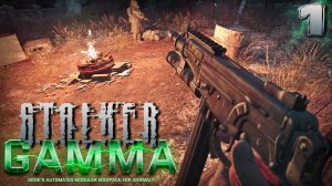 S.T.A.L.K.E.R. Anomaly GAMMA (1) ► Дикий | За монолит | Soulslike