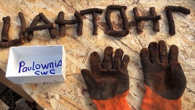 Павловнии Шан-Тонг это дерево сделанное вручную смотреть онлайн