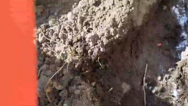 ЖИЗНЬ В ДЕРЕВНЕ /летний душ своими руками /кормлю МУРАВЬЕВ и ТЛЮ /сею огурцы /живем в селе