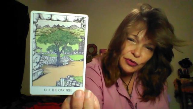 Oracle of the Tree"s Flip through смотреть онлайн
