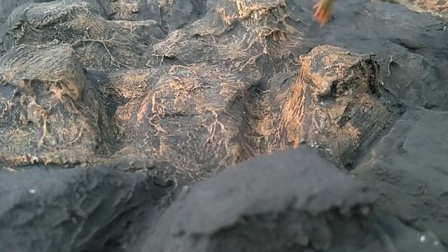 DIY 3D AQUARIUM BACKGROUND INSTALLATION смотреть онлайн