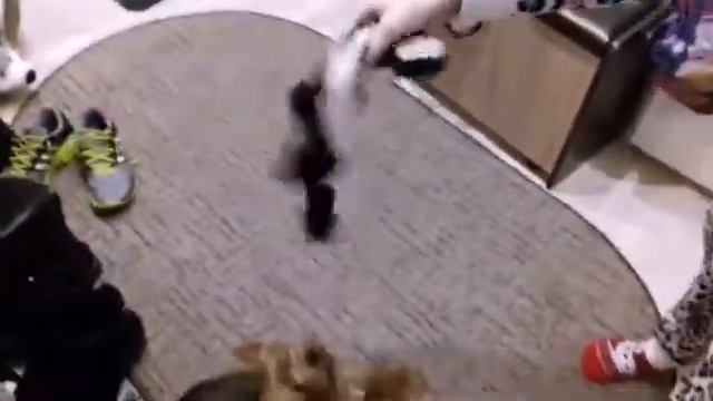 Всем смотреть !!!!! смотреть онлайн