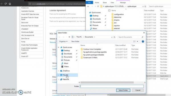 How connect Oracle SQL Developer to a local Oracle database