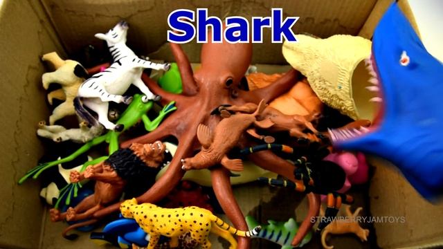 Learn Wild Zoo Animals and Sea Animals names For Kids - Learning For Children смотреть онлайн