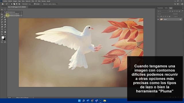 Cómo Quitar Fondo en Photoshop 2022 ✔️ смотреть онлайн