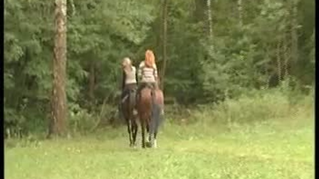 Конно-спортивный клуб 