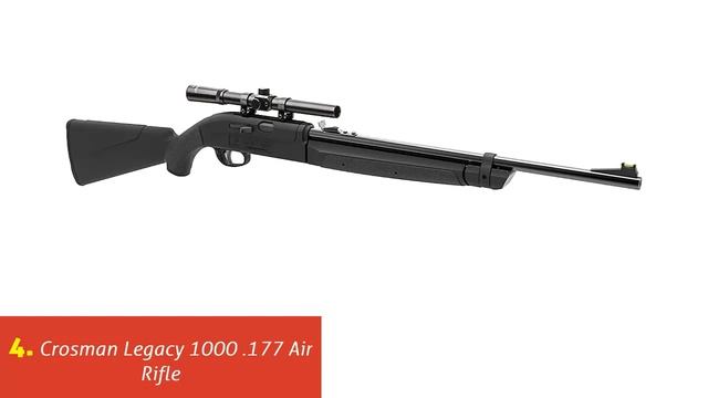 Top 10 Best Crosman Air Rifles 2022