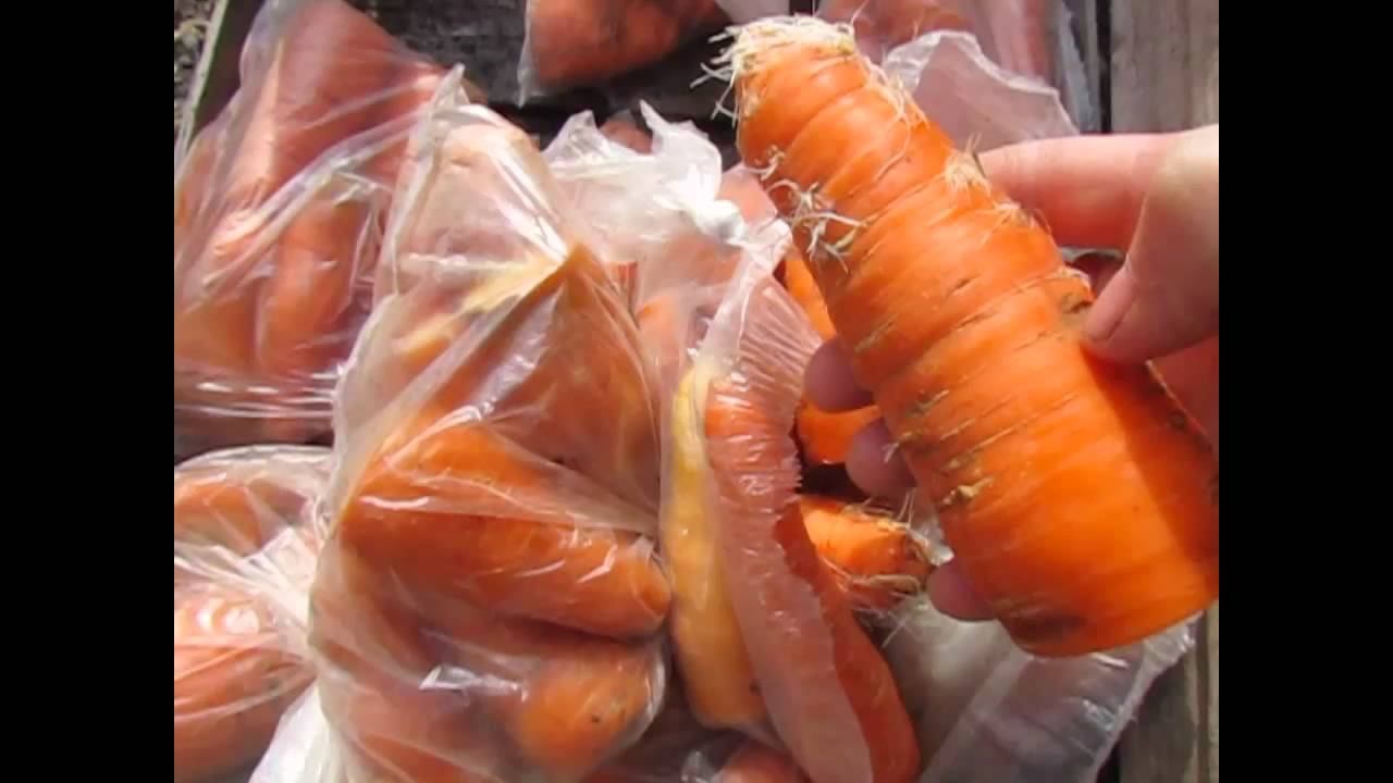 Наталия Сергеева