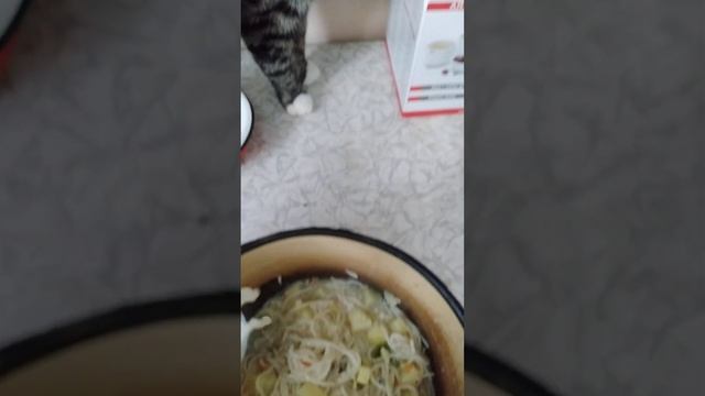 СУП  С  САЛАКОЙ ...   ? ? ? ♥️