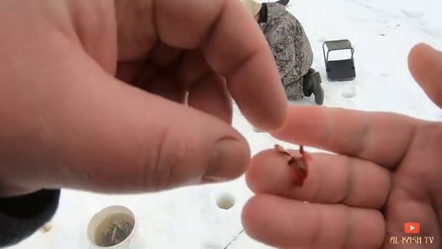 СУМАСШЕДШИЙ КЛЕВ/ЗИМНЯЯ РЫБАЛКА/ЧЕБАК смотреть онлайн