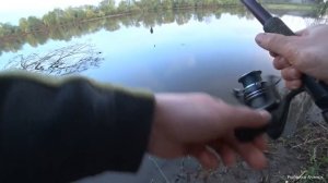 СЛОМАЛО РОГАТКУ!ДИКИЕ ПОКЛЁВКИ ЯЗЯ!рыбалка на язя река Чулым