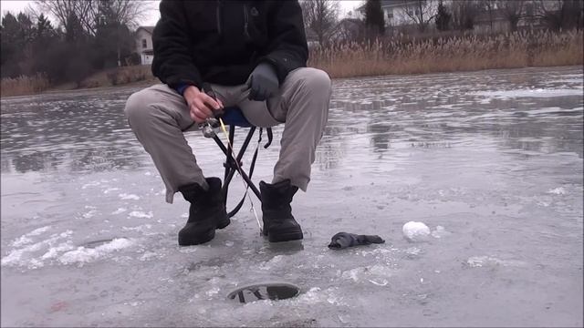 First Big Bass of 2017--USING ARTIFICIAL GULP MAGGOTS ft. BucksBassFishing смотреть онлайн