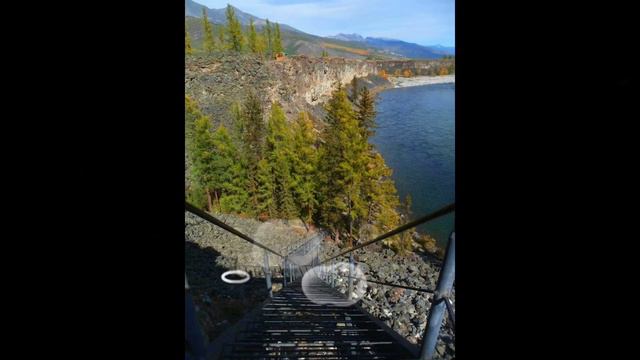 СКОРО ОСЕНЬ... ГОСПОДА... СКОРО ОСЕНЬ... 31.08.2022г. 🤗😁🤨🤗😁🤨🤗