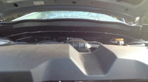 Стук двигателя при запуске (Subaru Forester SJ, 4-ое поколение, мотор FB25, снаружи)