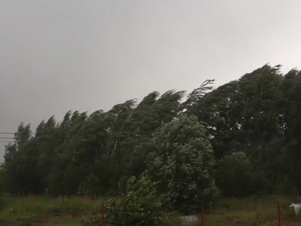 Каменногорск. Гроза и град с Грецкий орех. 23.07.2022. Много деревьев сломано. смотреть онлайн