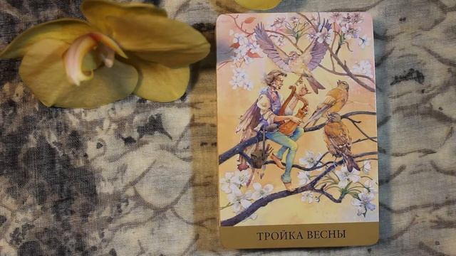 Таро викторианских фей. Обзор колоды. смотреть онлайн