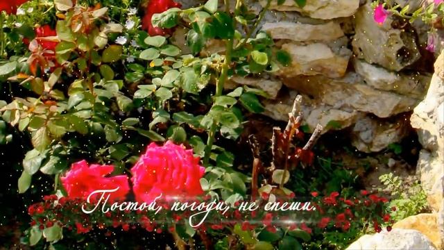 Цветы августа для Вас, друзья.mp4 смотреть онлайн