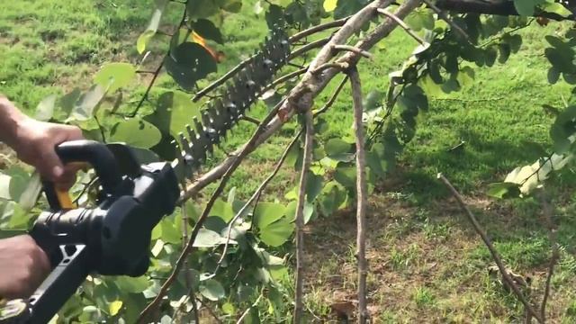 Cutting Branches with TECCPO 20V/18V Hedge Trimmer смотреть онлайн