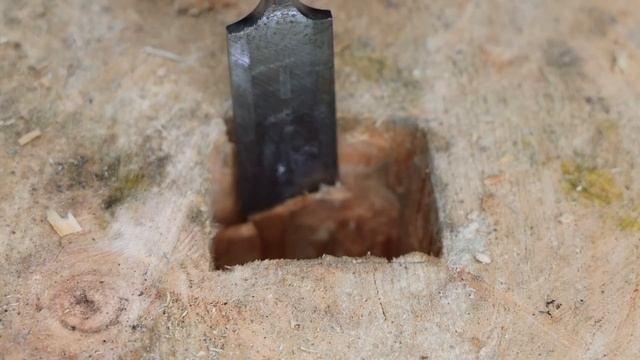 Bushcraft Survival Shelter, Crafting A Fish Trap, Catch And Cook, Fish In Clay, Life Off Grid, ASMR
