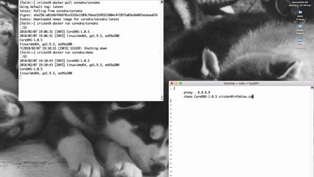 CoreDNS 101: Setting up CoreDNS as a recursive DNS server in a Docker environment смотреть онлайн