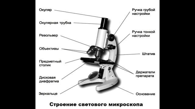§ 4 Увеличительные приборы