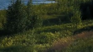 Вячеслав Мясников – Малая родина (2019)