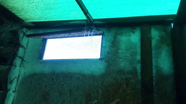 Закрытый навес для животных.Часть 3