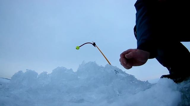 Корюшка 2018 южная дамба смотреть онлайн