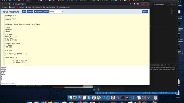 Data Type and Variable declaration in Go (golang) ??? смотреть онлайн