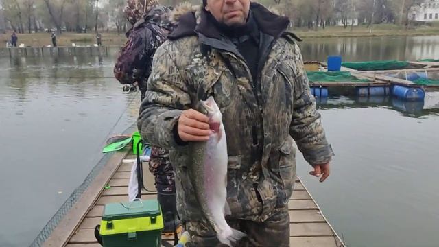 6.11.22 КРХ Белая Дача запуск форели спорт - зона 139 кг.!Запуск форели основной водоём 161 кг.! смотреть онлайн