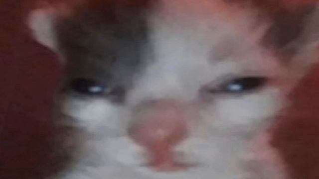 Formentera (low Quality)