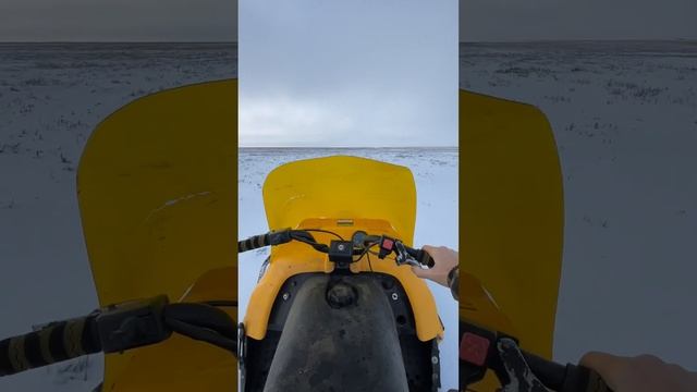 Снегоход Bombardier SKI-DOO Tundra 2 #shorts смотреть онлайн