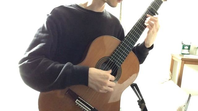 A Town Called Hometown - DELTARUNE Chapter 1 (Guitar cover w/TAB) смотреть онлайн