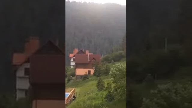 Aleks скачать книгу смотреть онлайн