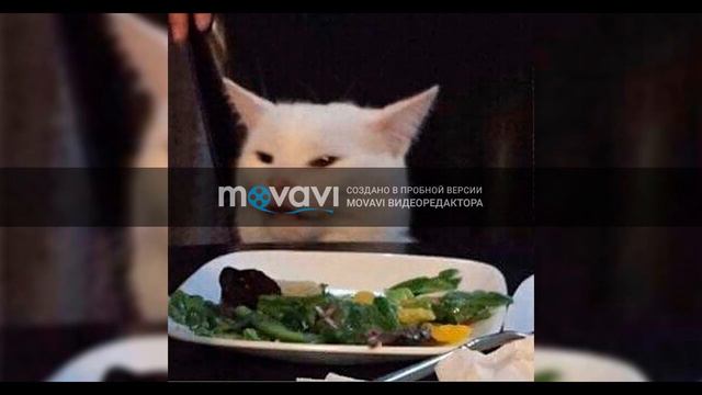 Куда я хочу поехать и когда смотреть онлайн