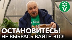 ЧТО СКРЫВАЮТ БЫВАЛЫЕ ОГОРОДНИКИ? Бесплатные удобрения для сада, огорода, рассады, комнатных цветов
