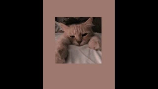 миллионы глаз смотрят на нас#песня#видео#эстетика смотреть онлайн