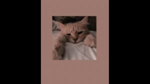 миллионы глаз смотрят на нас#песня#видео#эстетика