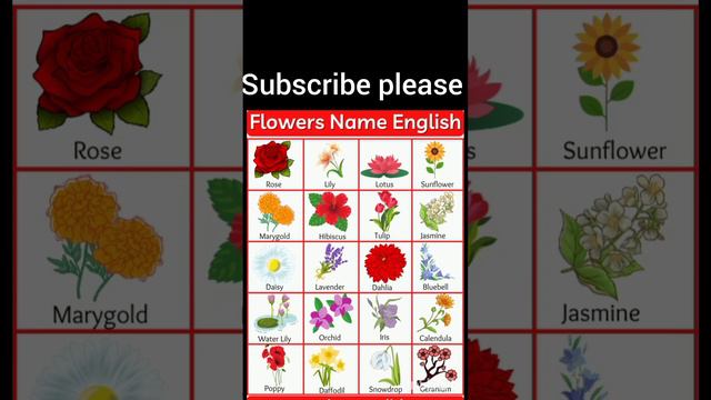 flower 🌹🥀 nema смотреть онлайн