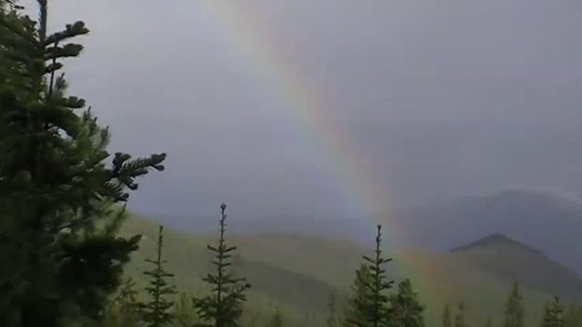 Радуга над поляной художников 26.06.2014 смотреть онлайн