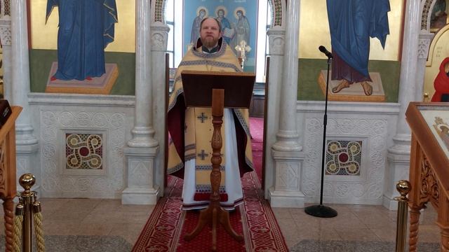 В чем смысл поста — проповедь и. Александра Волкова в неделю воспоминания Адамова изгнания смотреть онлайн