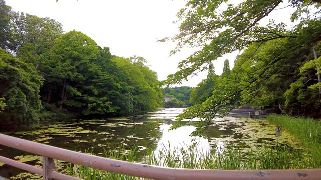 Kichijoji in Tokyo is a refreshing city ♪ 💖 4K ASMR Nonstop 1 hour 03 minutes смотреть онлайн