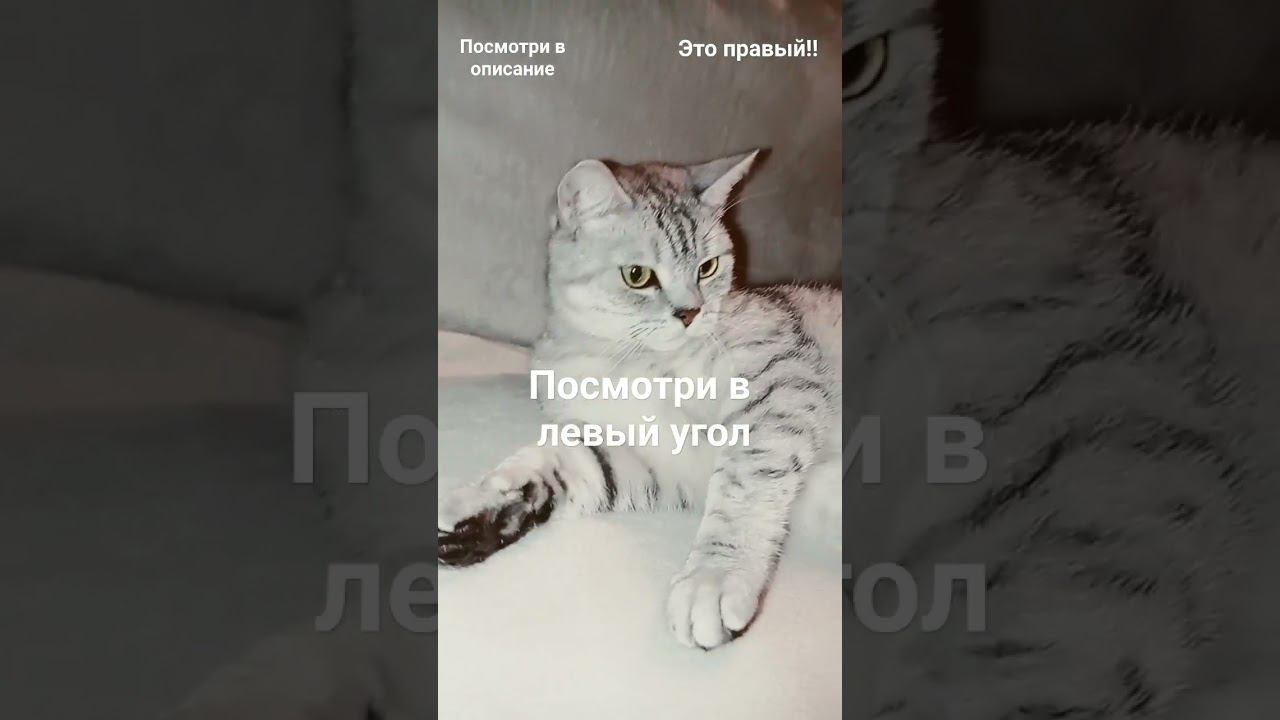 зайди в комментарии #рекомендации смотреть онлайн