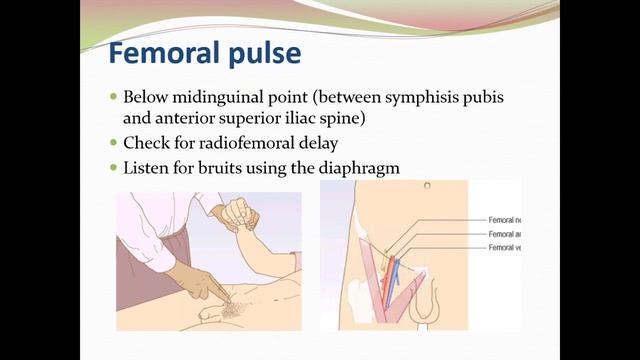 Lec. 16 + 17 | Introductory ( Dr. Raed ) | Vascular Examination Ulcers (Peripheral Vascular System смотреть онлайн