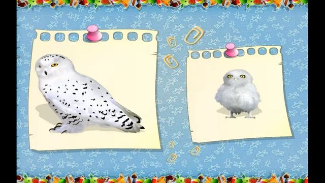 Учим животных и их деток