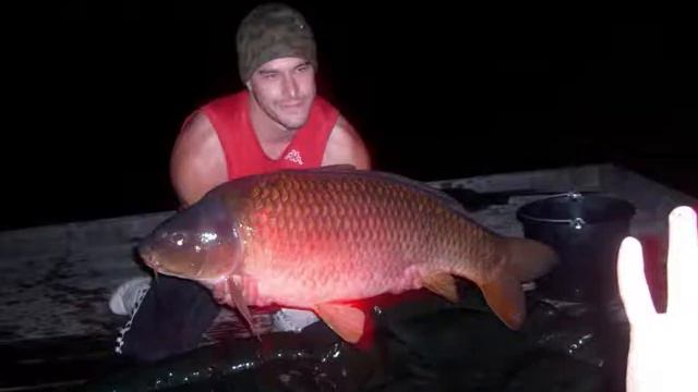 karp laatste foto 24kg visvangst 2009 abnormaal .wmv смотреть онлайн