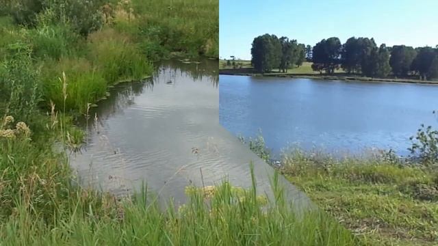 Не позволяй душе лениться. Н.Заболоцкий. Стихи. смотреть онлайн