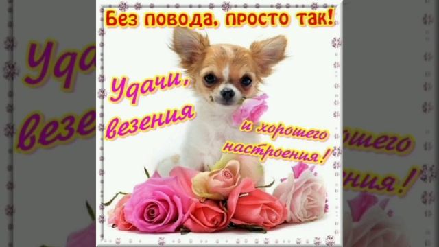 ? Тебе от меня большой приветик! Просто так, без повода, но от души! смотреть онлайн